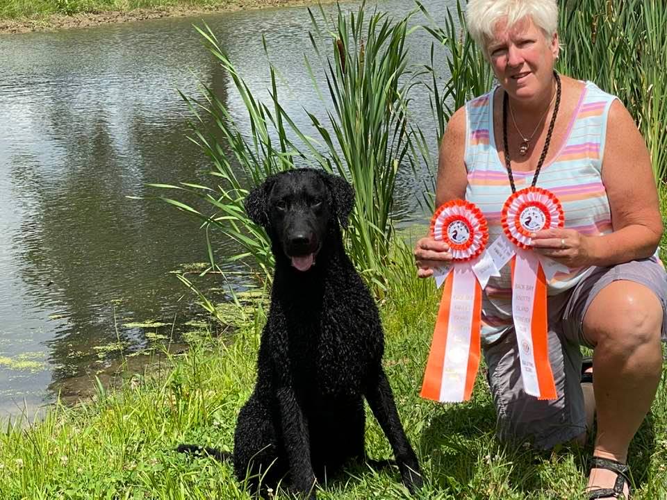 Bilde av Curly coated retrieveren Kiitos med eier og to rosetter.
