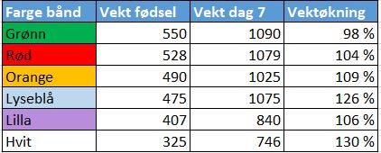 Tabell som viser valpenes vektutvikling